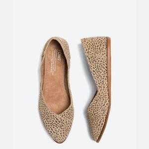 Toms Suede‎ Flats